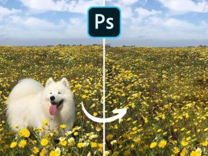 Cách xóa vật thể thừa trong ảnh nhanh gọn với Photoshop